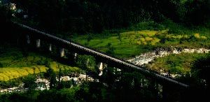 Jhalong